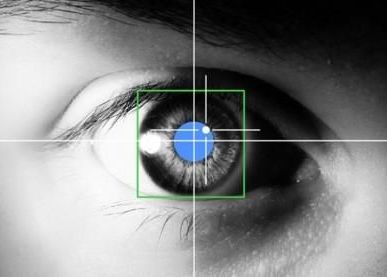 Oficial Microsoft: Viitorul apartine telefoanelor care afiseaza imaginea pe retina Oficial Microsoft Viitorul Nu Apartine Tabletelor Ci Telefoanelor Care Afiseaza Imaginea Pe Retina