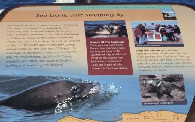 Poze recuperate miraculos de pe o camera care a stat 4 ani in ocean Poze Recuperate Miraculos De Pe O Camera Care A Stat 4 Ani In Ocean