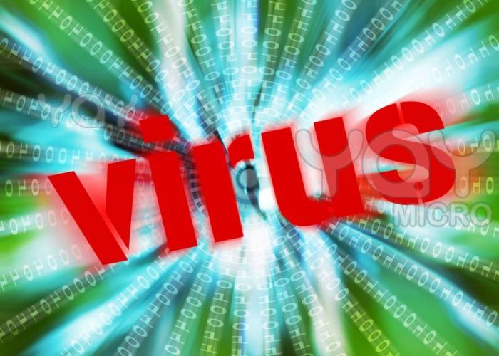 Un virus vrea sa te faca vedeta pe Internet Un Virus Vrea Sa Te Faca Vedeta Pe Internet