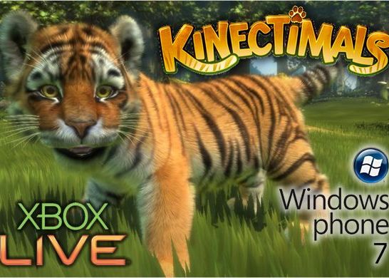 VIDEO: Cum vor arata popularele jocuri Xbox LIVE pe Windows Phone 7 Video Xbox Live Pe Windows Phone 7