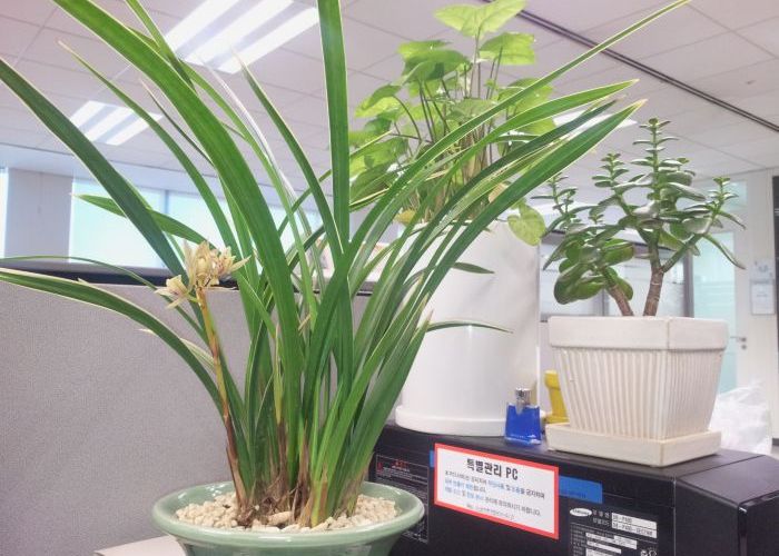 Prima fotografie facuta cu NOUL Samsung Galaxy S III a aparut pe Internet Prima Fotografie Facuta Cu Noul Samsung Galaxy S Iii A Aparut Pe Internet