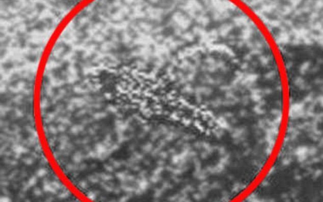 Extraterestrul de pe Planeta Venus? Rusii au descoperit o creatura ciudata GALERIE FOTO Extraterestrul De Pe Planeta Venus Rusii Au Descoperit O Creatura Ciudata Galerie Foto 3