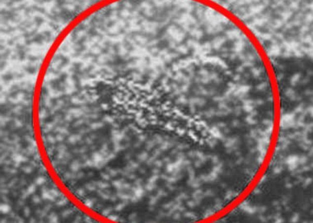 Extraterestrul de pe Planeta Venus? Rusii au descoperit o creatura ciudata GALERIE FOTO Extraterestrul De Pe Planeta Venus Rusii Au Descoperit O Creatura Ciudata Galerie Foto 3