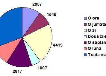 Tu cat ai rezista fara Facebook? Ce au raspuns romanii la aceasta intrebare Sondaj Cat Ai Rezista Fara Facebook