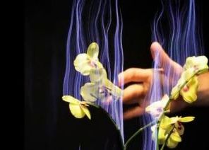 Cum poti sa transformi o planta vie intr-un instrument muzical. Experimentul care va revolutiona tehnologia de pe Pamant Cum Poti Sa Transformi O Planta Vie Intr Un Instrument Muzical Experimentul Care Va Revolutiona Tehnologia