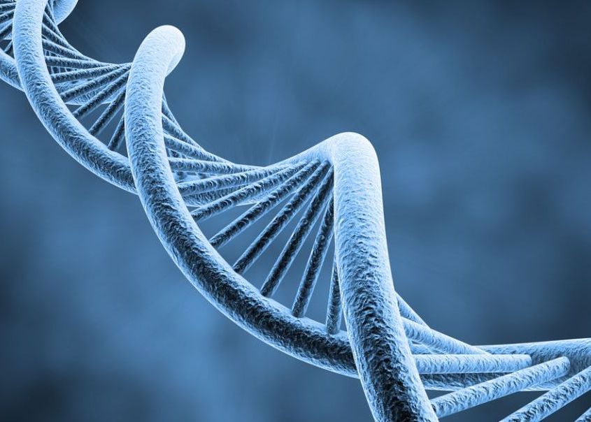 Experimentul care va schimba modul in care stocam datele. O carte, transformata in ADN Experimentul Care Va Schimba Modul In Care Stocam Datele Informatia Dintr O Carte Transformata In Adn 1 1