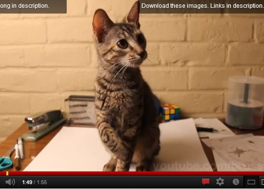 VIRAL O iluzia optica a adunat 12 milioane de vizualizari in 5 zile Viral O Iluzia Optica A Adunat 12 Milioane De Vizualizari In 5 Zile