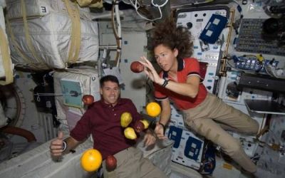 Experiment reusit. Astronautii isi vor putea cultiva singuri legume pe bazele extraterestre