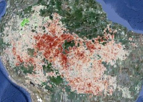 O parte uriasa din jungla amazoniana e in pericol sa se distruga. Ce descoperire a facut NASA in zona O Parte Uriasa Din Jungla Amazoniana E In Pericol Sa Se Distruga Ce Descoperire A Facut Nasa In Zona