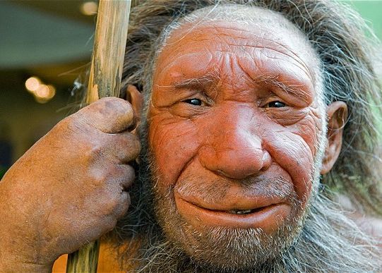 Cercetatorii de la Harvard cauta o femeie care sa nasca o clona a omului de Neanderthal Cercetatorii De La Harvard Cauta O Femeie Care Sa Nasca O Clona A Omului De Neanderthal