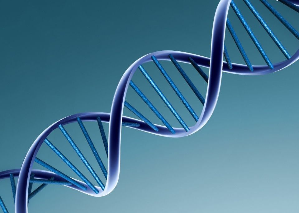 Descoperirea care schimba tot ce stiam despre viata. ADN-ul nu arata asa cum am crezut Descoperirea Care Schimba Tot Ce Stiam Despre Viata Adn Ul Nu Arata Asa Cum Am Crezut