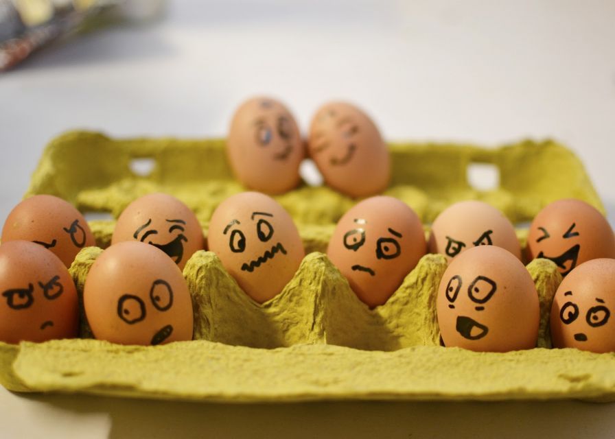 Ce a aparut prima data, oul sau gaina? Dilema s-a rezolvat VIDEO Ce A Aparut Prima Data Oul Sau Gaina Dilema S A Rezolvat Video