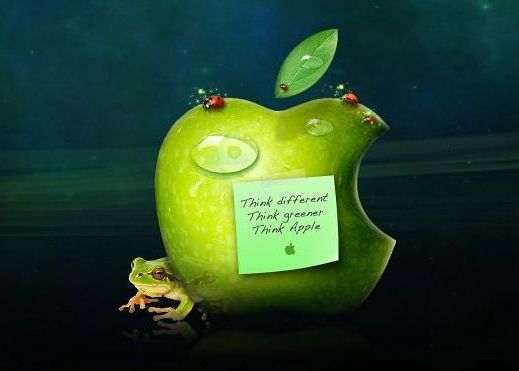 Apple isi cere scuze intr-un final. Greseala care a afectat milioane de utilizatori Apple Isi Cere Scuze Intr Un Final Greseala Care A Afectat Milioane De Utilizatori 1