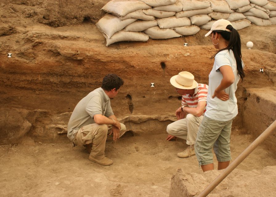 Fosile de la un animal care a trait acum 6 milioane de ani, descoperite in judetul Vaslui Fosile De La Un Animal Care A Trait Acum 6 Milioane De Ani Descoperite In Vaslui
