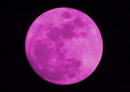 Fenomenul Luna roz , spectacolul extraordinar care va fi vizibil pe cer, joi, in Europa Fenomenul Luna Roz Spectacolul Extraordinar Care Va Fi Vizibil Pe Cer Joi In Europa