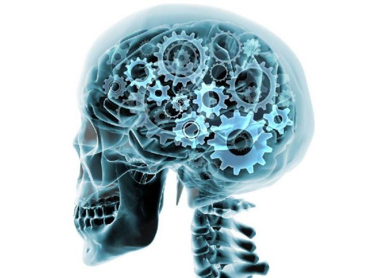 Ceasul intern al creierului poate determina momentul in care utilizatorul acestuia a incetat din viata Ceasul Intern Al Creierului Poate Determina Momentul In Care Utilizatorul Acestuia A Incetat Din Viata