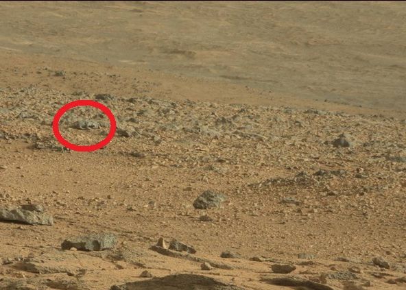 O creatura dubioasa, surprinsa pe Marte de robotul Curiosity al NASA? O Creatura Dubioasa Surprinsa Pe Marte De Robotul Curiosity Al Nasa