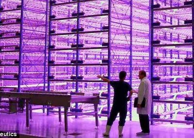 Vechile depozite de marfuri, viitoare sere? Vechile Depozite De Marfuri Viitoare Sere