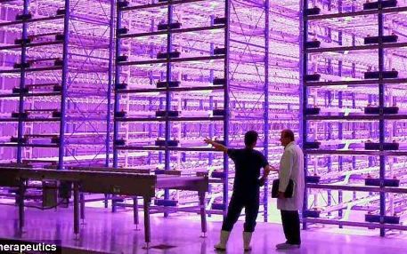 Vechile depozite de marfuri, viitoare sere? Vechile Depozite De Marfuri Viitoare Sere