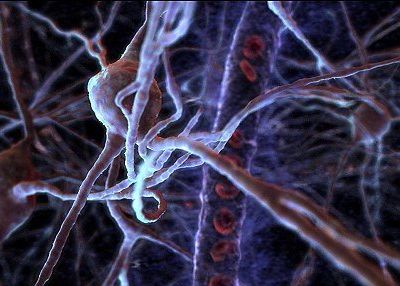 Dezvoltarea rapida a celulelor din creier la varste fragede face ca amintirile din copilarie sa se piarda Dezvoltarea Rapida A Celulelor Din Creier La Varste Fragede Face Ca Amintirile Din Copilarie Sa Se Piarda