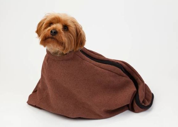 Cele mai bune cinci gadgeturi pentru animalul de companie Cele Mai Bune Cinci Gadgeturi Pentru Animalul De Companie