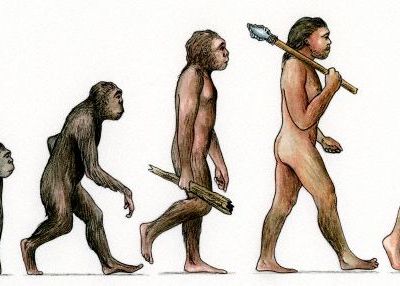 Motivul pentru care omul s-a ridicat in doua picioare : terenul accidentat Motivul Pentru Care Omul S A Ridicat In Doua Picioare Terenul Accidentat