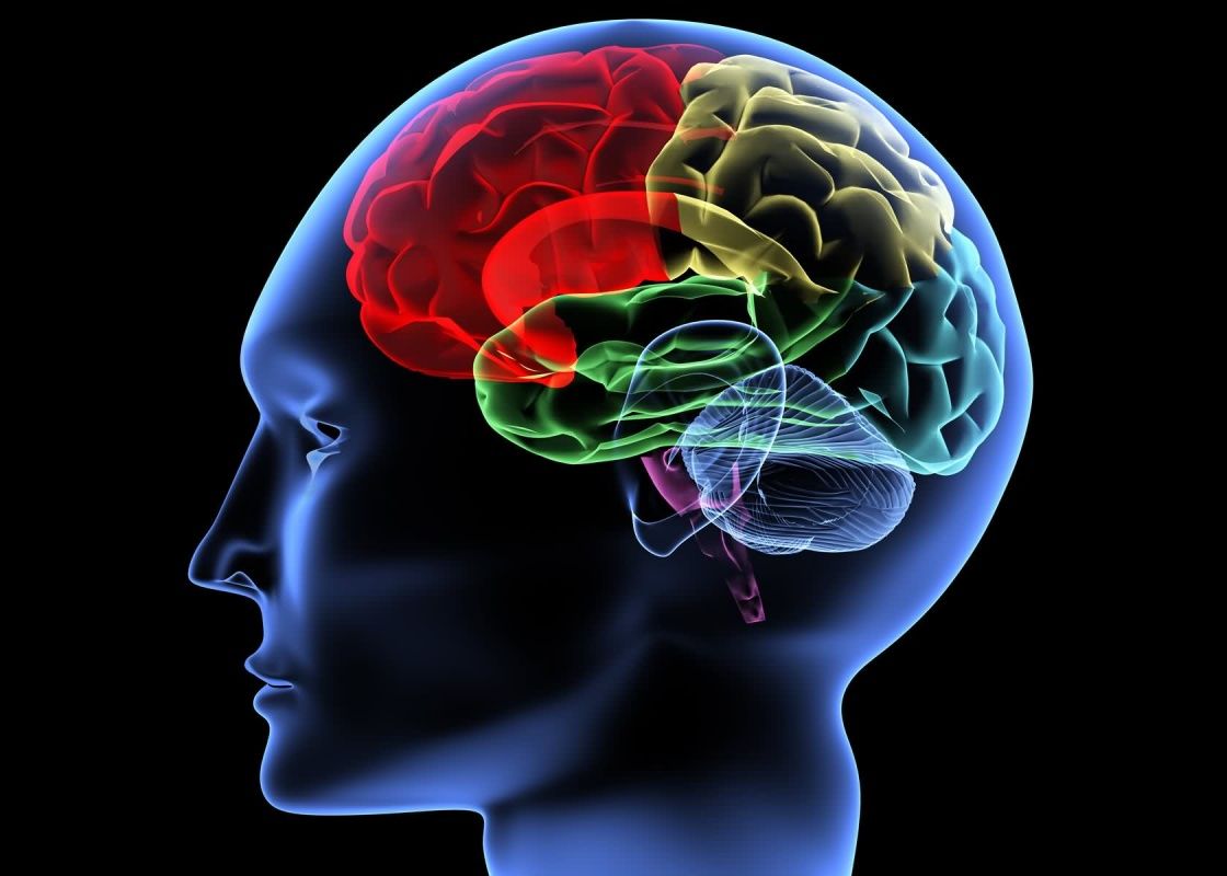 O parte a corpului uman despre care nimeni nu stia ca exista, descoperita acum A Fost Descoperita O Noua Componenta A Corpului Uman Trebuie Rescrise Manualele De Anatomie