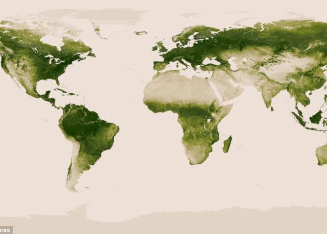 NASA face publica fata verde a Terrei. Cum se regenereaza planeta Nasa Face Publica Fata Verde A Terrei Planeta Prinde Viata Cand Apa Da Viata Iar Pamantul Se Inobileaza