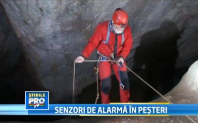 Pesterile din Romania, extrem de periculoase? Ce au anuntat cercetatorii VIDEO