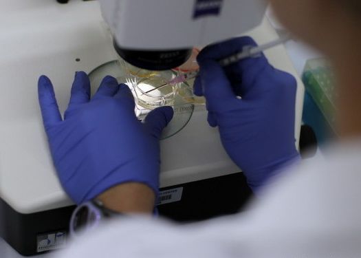 Imprimanta 3d Revolutioneza Lumea Medicala Inventia Care Ne Poate Oferi Auzul Lui Supeman