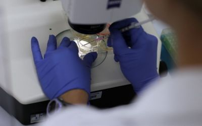 Imprimanta 3D revolutioneza lumea medicala. Inventia care ne poate oferi auzul lui Superman