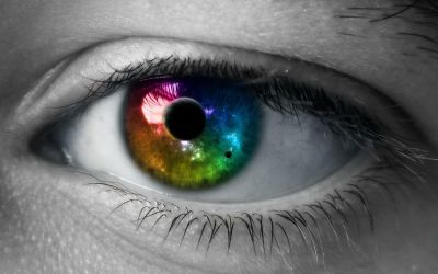 Celulele care vor ajuta la restabilirea vederii sunt crescute in laborator si transplantate pe soarecii orbi