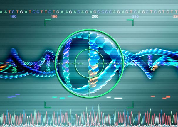 Adn Ul Vazut Ca Piese De Schimb Ce Este Biologica Sintetica Noua Provocare Din Lumea Stiintei