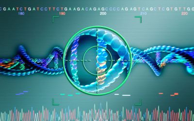 ADN-ul vazut ca piese de schimb. Ce este biologia sintetica, noua provocare din lumea stiintei