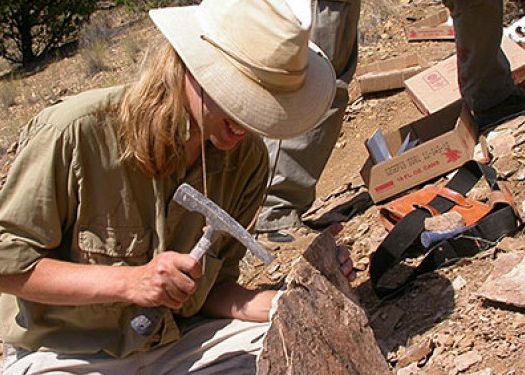 Fosile Ale Unor Mamifere De Acum 10 Milioane De Ani Descoperite In Judetul Vaslui