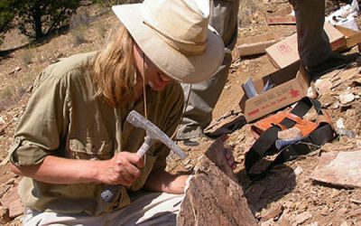 Fosile ale unor mamifere de acum 10 milioane de ani, descoperite in judetul Vaslui