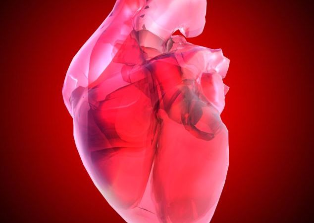 Oamenii de stiinta au creat prima inima pentru soareci din celule stem umane Oamenii De Stiinta Au Creat Prima Inima Pentru Soareci Din Celule Stem Umane