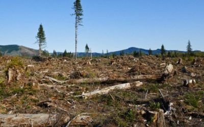 Resursele Pamantului pentru acest an s-au epuizat, spun ecologistii