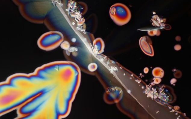 Adevaratele Culori Ale Vinului Se Vad Doar Sub Lupa Microscopului