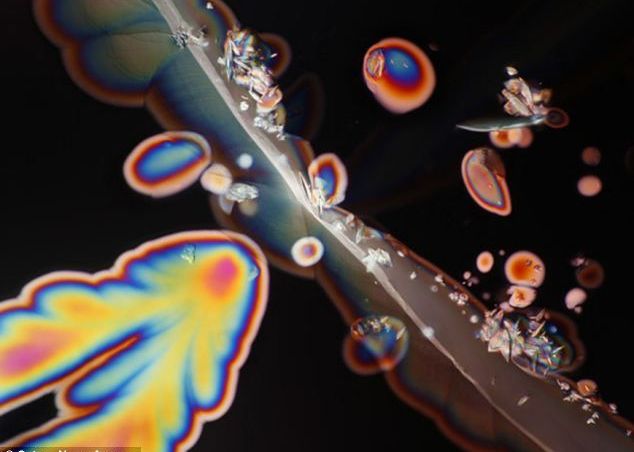 Adevaratele culori ale vinului se vad doar sub lupa microscopului Adevaratele Culori Ale Vinului Se Vad Doar Sub Lupa Microscopului