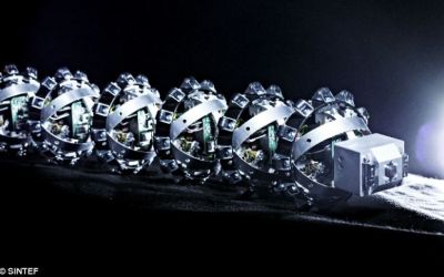 Robotii in forma de sarpe ar putea ajunge in locuri mai greu de explorat