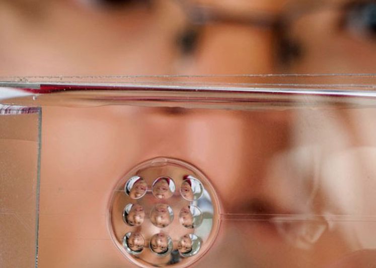 Camerele Foto Vor Simula Ochiul Uman O Noua Tehnologie Inventata In America