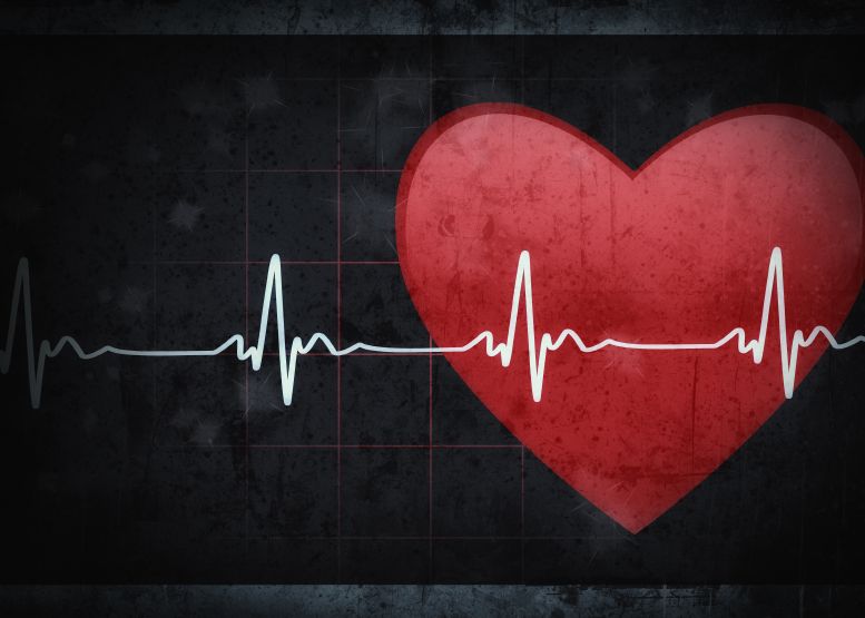 Primul sistem imposibil de spart de hackeri: Nu poti folosi o parola un minut mai tarziu! Cum functioneaza Primul Sistem Care Este Impenetrabil In Fata Atacurilor Cibernetice Nu Poti Folosi O Parola Un Minut Mai