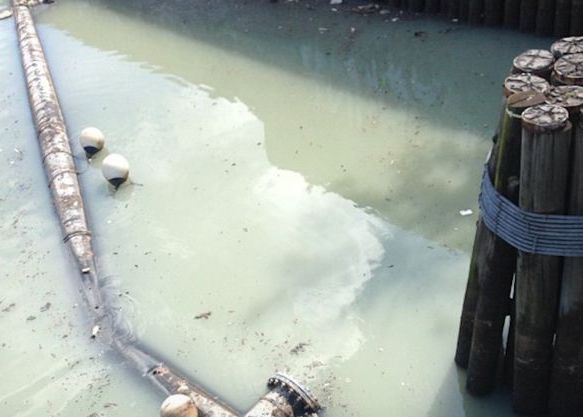 O Inghititura Si Te Poti Imbolnavi De Cancer Cea Mai Poluata Apa Din Statele Unite Cum Iti Poate Distruge