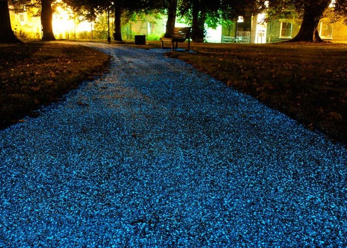 Cum Arata Primul Trotuar Din Lume Care Se Lumineaza Singur Cand E Noapte