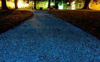 Cum arata primul trotuar din lume care se lumineaza singur cand e noapte
