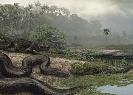 Incalzirea Globala Ar Micsora Caii Pana La Dimensiunea Unei Pisici In Timp Ce Serpii Ar Putea Ajunge Cat