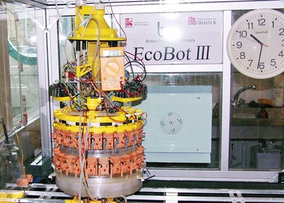 Robotii de maine ar putea fi alimentati cu... urina! Robotii De Maine Ar Putea Fi Merge Cu Urina