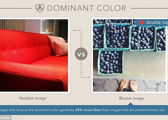 Culoarea Albastra Secretul Succesului Pe Instagram