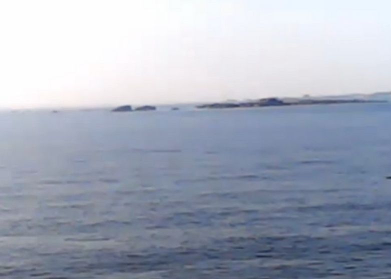 Viata Asa Cum Nu Ai Mai Vazut O Niciodata Experiment Marca Bbc